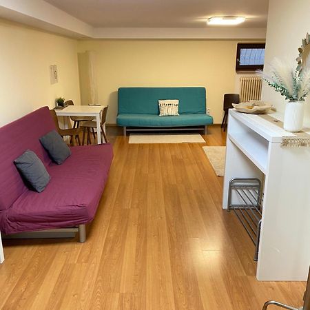 Ruhiges Privates Zimmer In Freiburg, Zentrumsnah, Naehe Europapark Екстер'єр фото